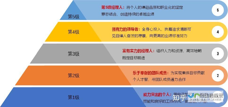 构建卓越的平台网站：从概念到上线的全方位解决方案