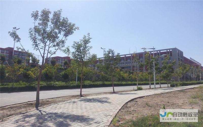乌鲁木齐专业网站建设服务：提升企业竞争力，助力业务发展